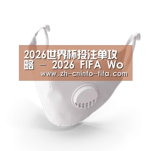 N95 口罩
