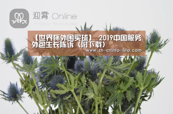 【世界杯外围买球】
2019中国服务外包生长陈诉(附下载)(图3) 世界杯投注