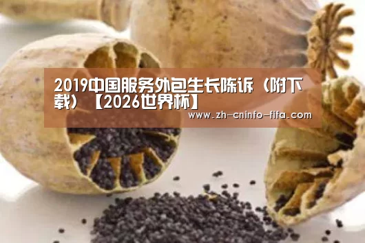 
2019中国服务外包生长陈诉（附下载）【2026世界杯】