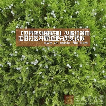 【世界杯外围买球】少城红领巾走进社区开展垃圾分类实践教育活动