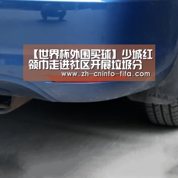 【世界杯外围买球】少城红领巾走进社区开展垃圾分类实践教育活动(图2) 世界杯投注