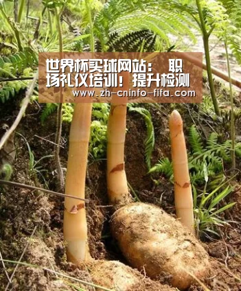 世界杯买球网站：
职场礼仪培训！提升检测服务软实力