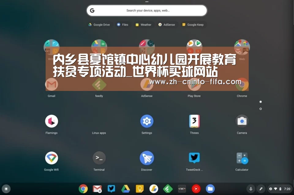 内乡县夏馆镇中心幼儿园开展教育扶贫专项活动_世界杯买球网站(图3) 2026世界杯