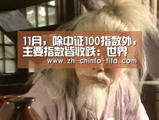 11月，除中证100指数外，主要指数皆收跌：世界杯买球网站
